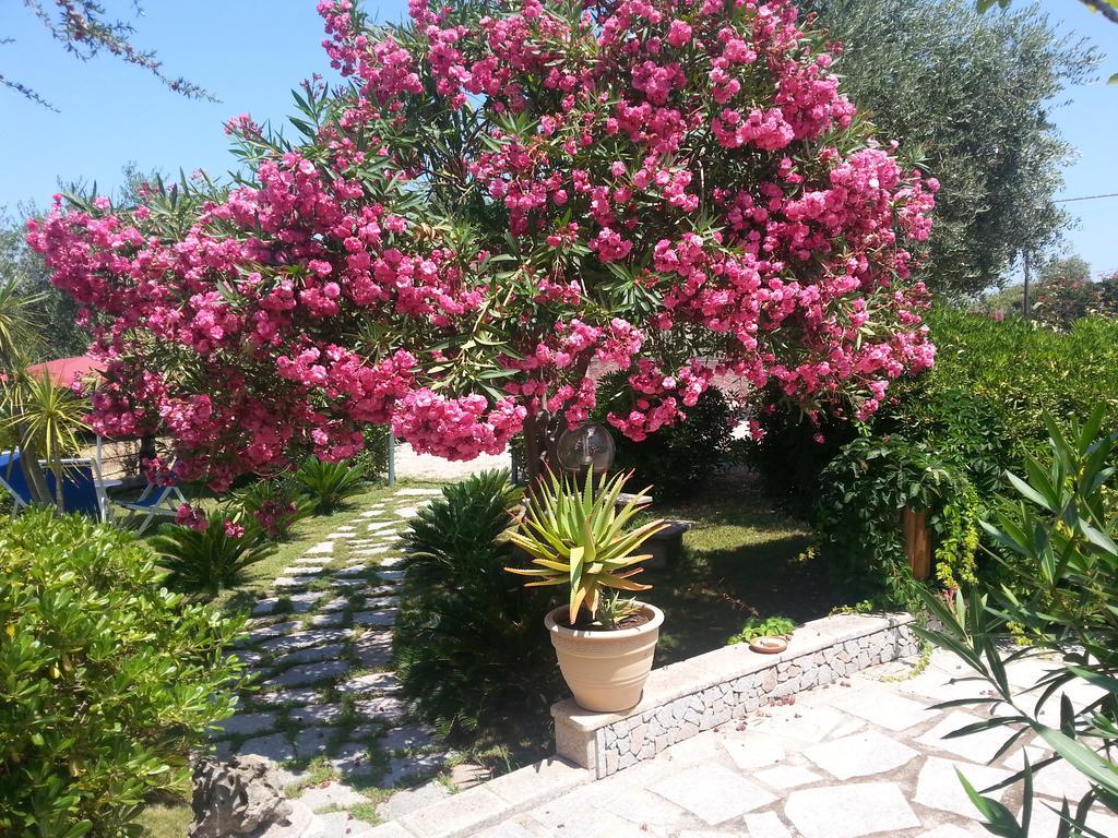 Antico Casolare Sorso-Tourist Rental Экстерьер фото