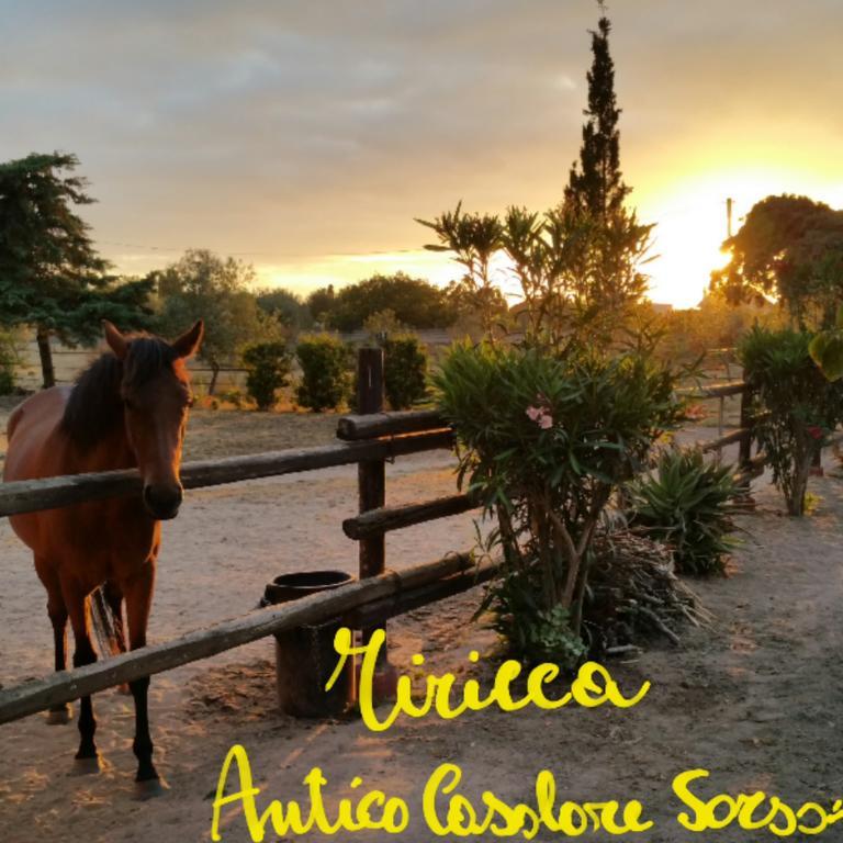 Antico Casolare Sorso-Tourist Rental Экстерьер фото